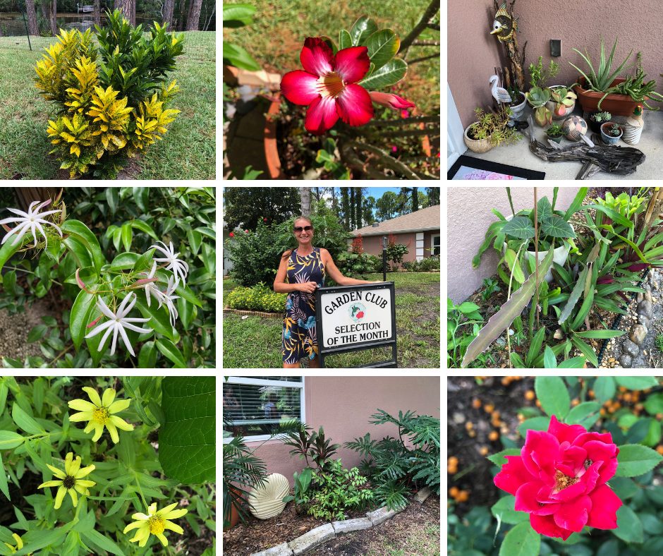 September 2025 Garden of The Month Selection by The Garden Club at Palm Coast