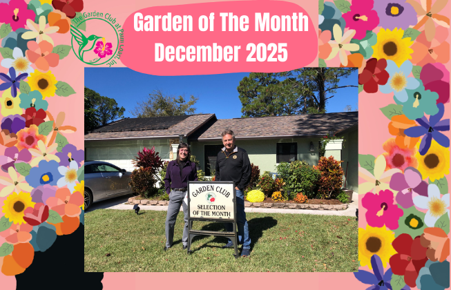 Garden of the month selection December 2025