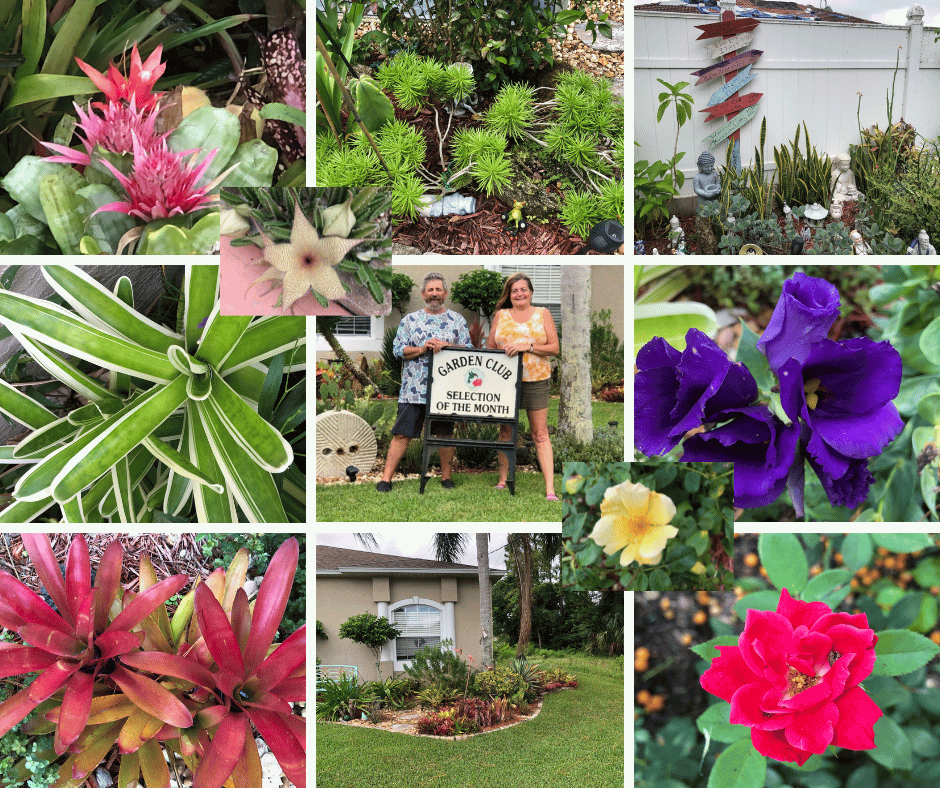 october garden of the month gardeb club