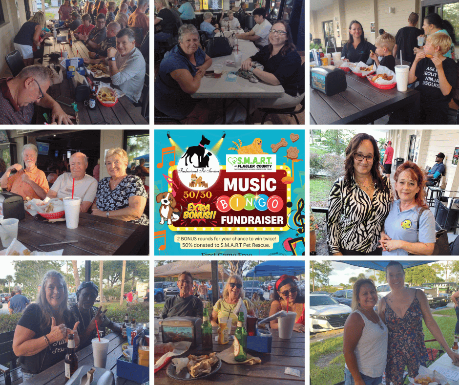 smart music bingo fundraiser oct2