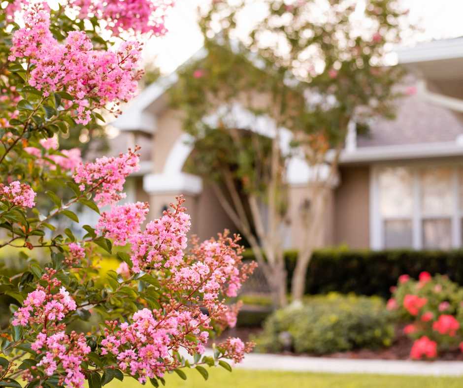 Adding rocks around your trees can cause root rot Rocks around your trees can cause root rot