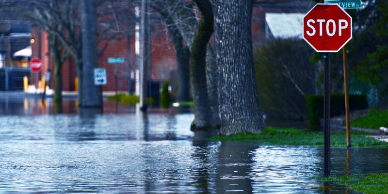 Palm Coast Flagler Home Sellers Must Disclose Property Flooding Palm Coast Flagler Home Sellers Must Disclose Property Flooding