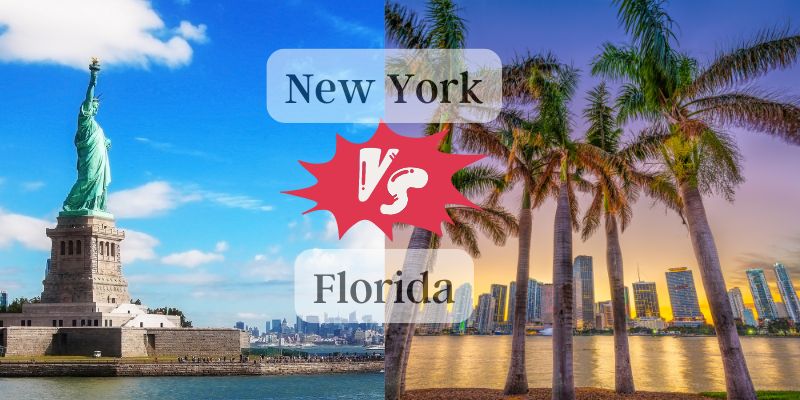 Why Donald J. Trump, A Convicted Felon Can Still Vote in Florida Why Donald J. Trump, A Convicted Felon Can Still Vote in Florida