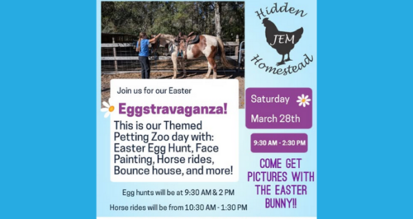Hidden Jem Homestead Easter Eggstravaganza in Bunnell – Egg Hunts, Pony Rides & More
