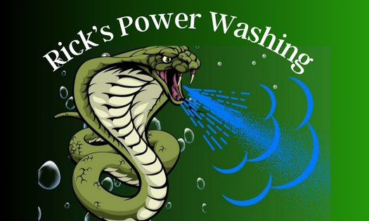 Rick's Pressure Washing Savings - Single Driveway 75.00